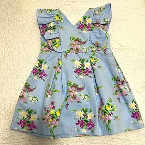 Toddler Girl 2T Janie and Jack Dress